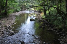 Image_003.JPG