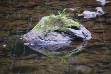 Image_004.JPG