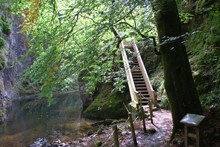 Image_005.JPG