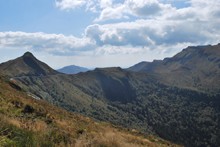 Image_017.JPG