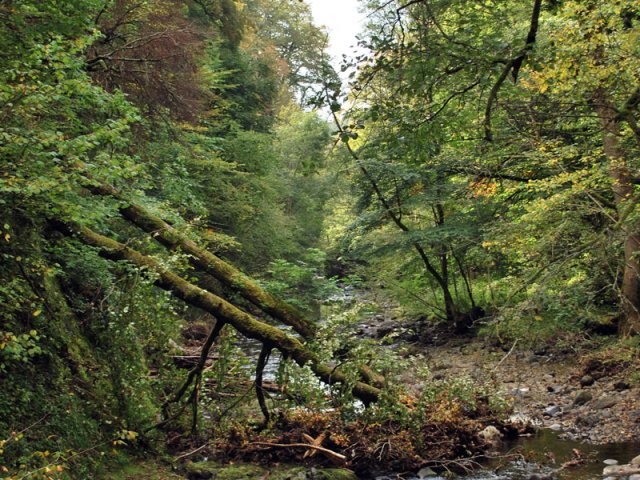 Paysages du cantal