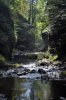 Paysages du cantal