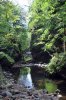 Paysages du cantal
