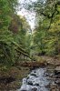 Paysages du cantal