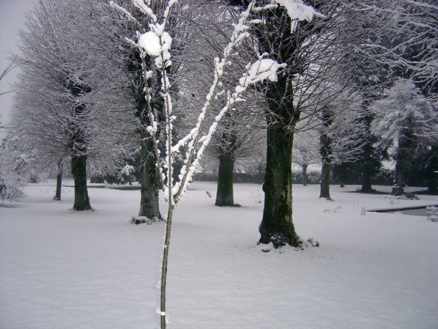 Le Pradal automne hiver