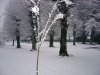 Le Pradal automne hiver
