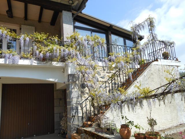 balcon-et-glycine-3