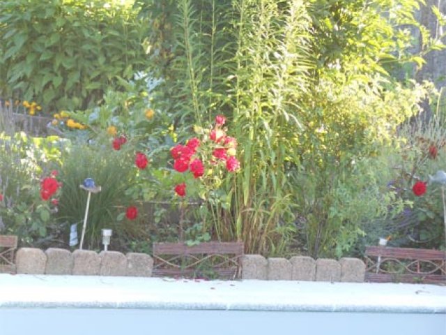 jardin