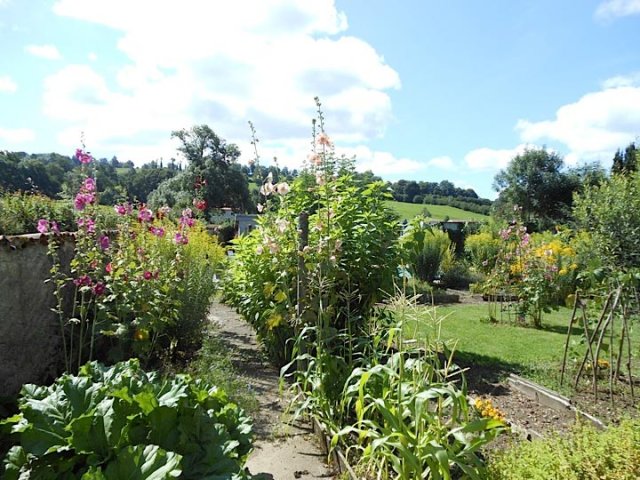 jardin17