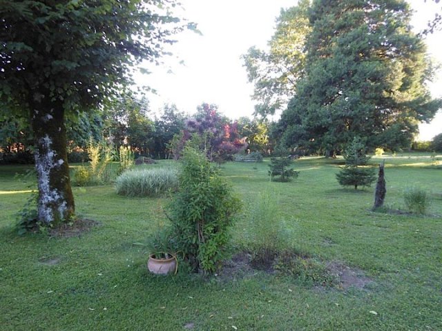 jardin5
