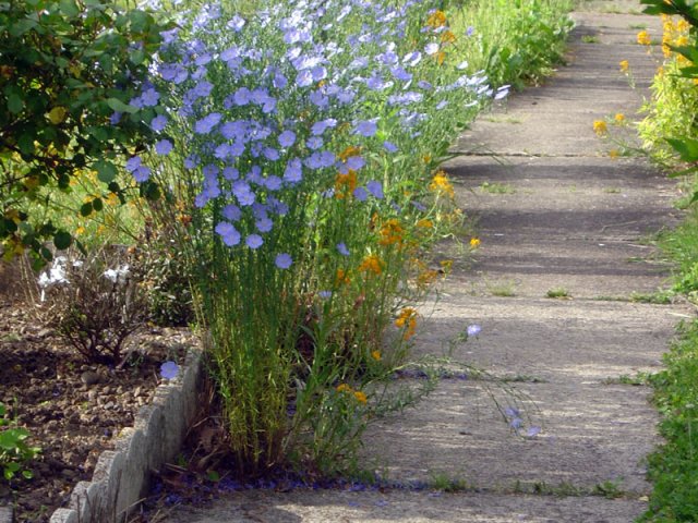 Le Pradal printemps-été