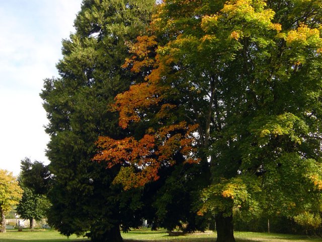 Le Pradal printemps-été