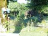 jardin2