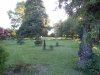 jardin4
