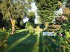jardin6