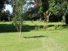 jardin9